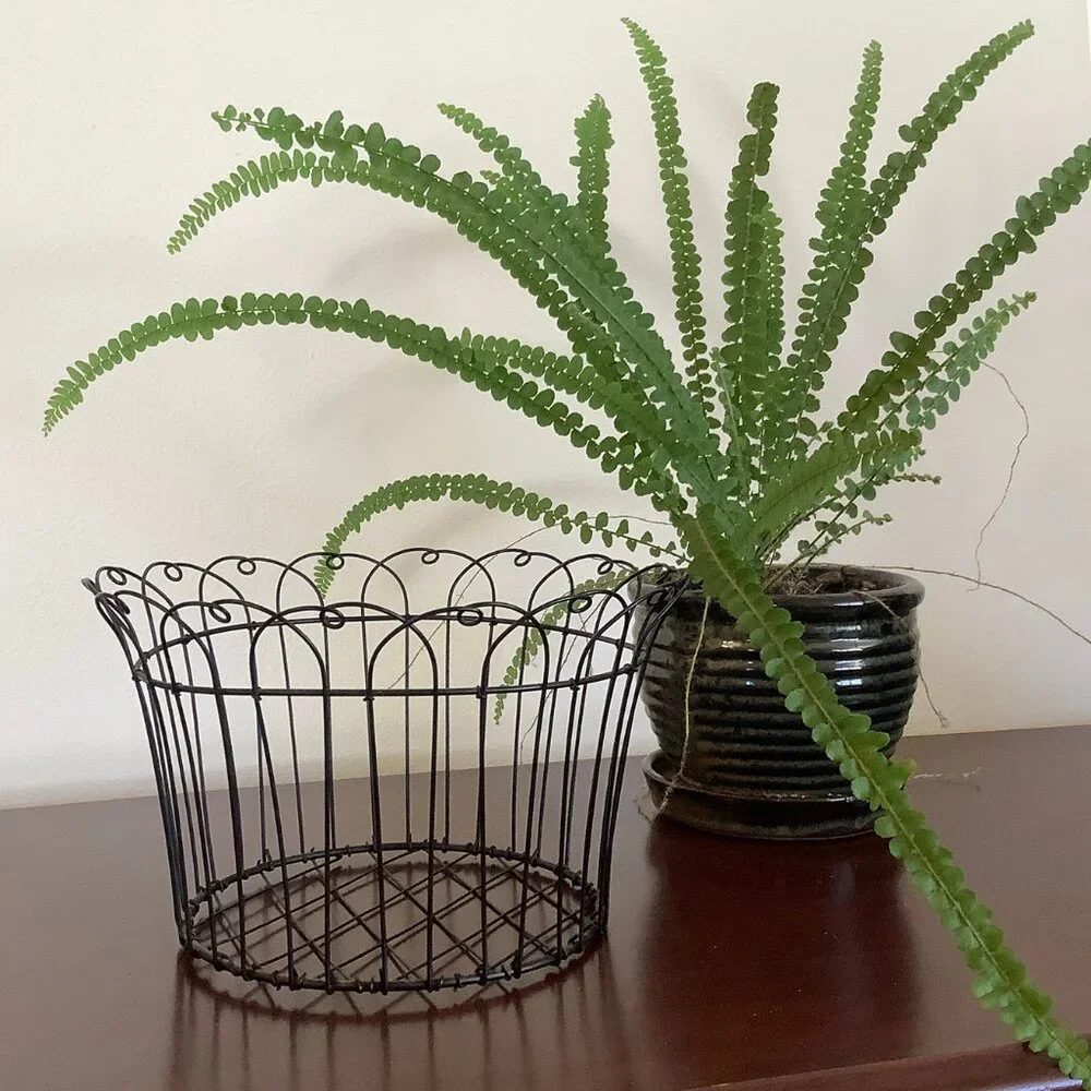 EUC Black Open Wire Basket
